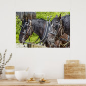 Atemberaubende Arbeitspferde in Kabelbaum Poster (Küche)
