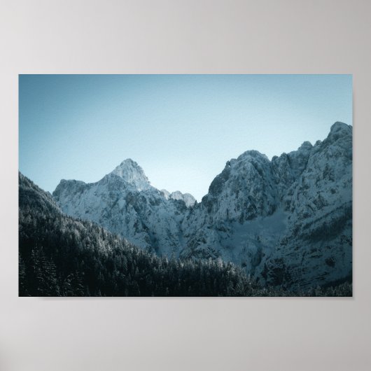 Atemberaubende Berge und Fichtenwälder Poster (Vorne)