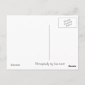 atemberaubende Bidorm-Postkarte Postkarte (Rückseite)