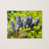 Atemberaubende Big Blue-Korean-Tree-Cones Puzzle (Horizontal)