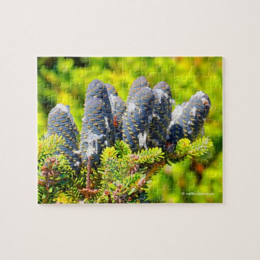 Atemberaubende Big Blue-Korean-Tree-Cones Puzzle (Horizontal)