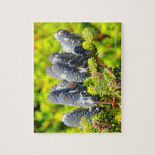 Atemberaubende Big Blue-Korean-Tree-Cones Puzzle (Vertikal)