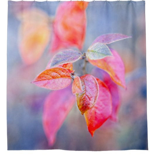 Atemberaubende Blätter von Cotonou Duschvorhang (Vorderseite)