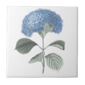 Atemberaubende blaue Hydrangea-Blume Fliese (Vorderseite)