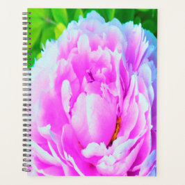 Atemberaubende Blume für doppelrosa Peony Planer