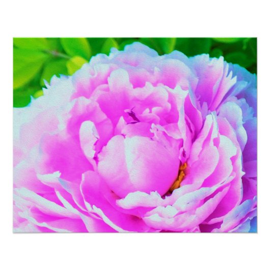 Atemberaubende Blume für doppelrosa Peony Poster (Vorderseite)