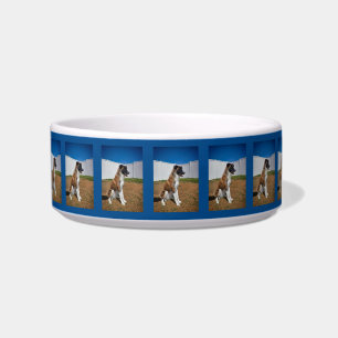 Atemberaubende Border Collie Pup Keramik Pfeffersc Napf