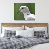 Atemberaubende Collared Dove Leinwanddruck (Insitu (Schlafzimmer))