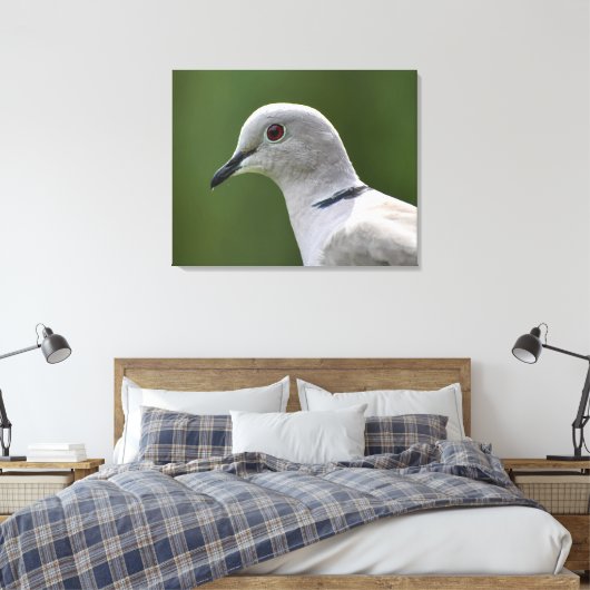 Atemberaubende Collared Dove Leinwanddruck (Insitu (Schlafzimmer))