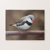 Atemberaubende Diamant-FiRetail-Finish Puzzle (Horizontal)