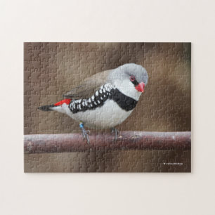 Atemberaubende Diamant-FiRetail-Finish Puzzle