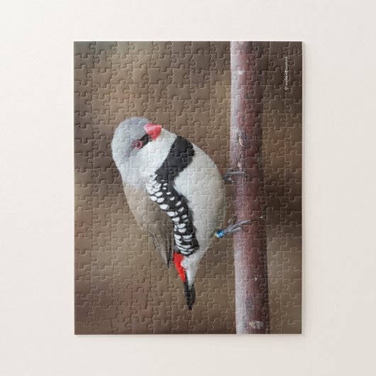 Atemberaubende Diamant-FiRetail-Finish Puzzle (Vertikal)