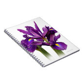 Atemberaubende Dutch Iris Lila Sensation Blume Notizblock (Rechte Seite)