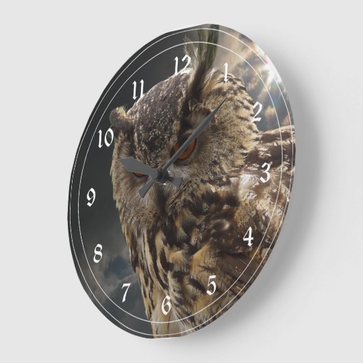 Atemberaubende Eulen-Fotografie-Reihe Große Wanduhr (Winkel)