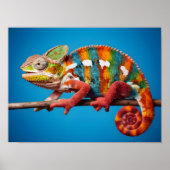 Atemberaubende Farbenpracht mit einem blauen Hinte Poster (Vorne)