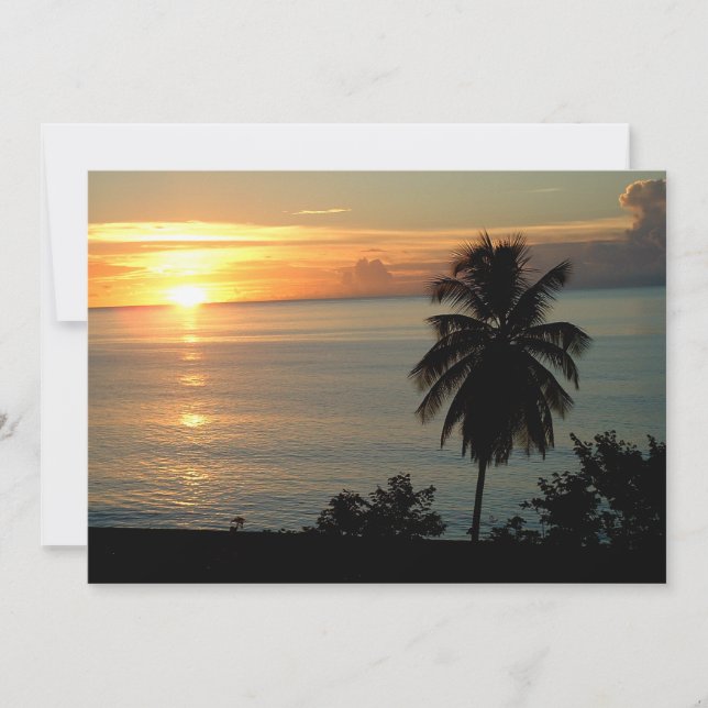 Atemberaubende Farbsonden (Vorderseite)