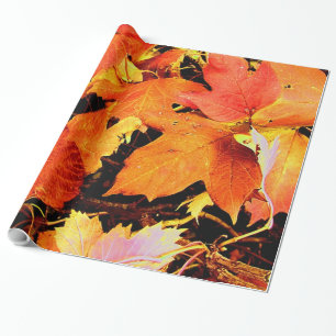 Atemberaubende fette Orangenbäume Geschenkpapier