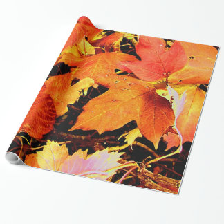 Atemberaubende fette Orangenbäume Geschenkpapier