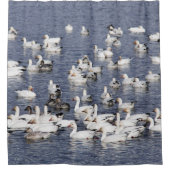 Atemberaubende Flock von Schneegänse am Strand Duschvorhang (Vorderseite)