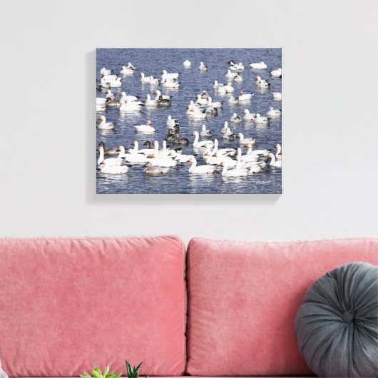 Atemberaubende Flock von Schneegänse am Strand Leinwanddruck (Insitu (Wohnzimmer))