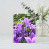Atemberaubende Fresh Lilac Wilde Blume Postkarte (Stehend Vorderseite)