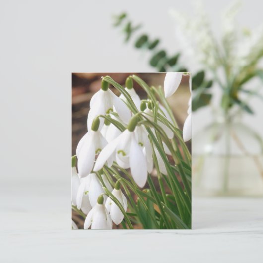 Atemberaubende Frühlingssnowdrops Postkarte (Stehend Vorderseite)