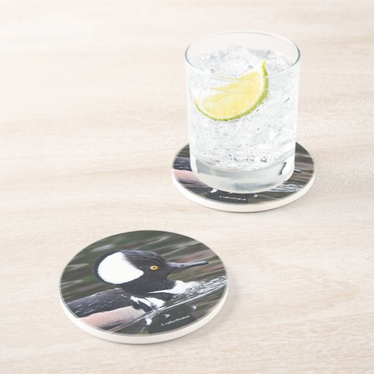 Atemberaubende, gehobene Merganser Duckswims von Getränkeuntersetzer (Seite)