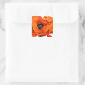 Atemberaubende Georgia O'Keefe Red Poppy Blume Quadratischer Aufkleber (Tasche)