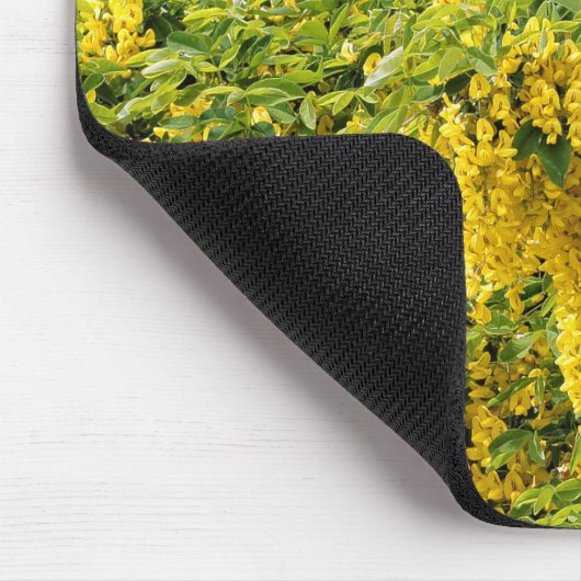 Atemberaubende Goldene Kette / Laburnum Tree Mousepad (Ecke)