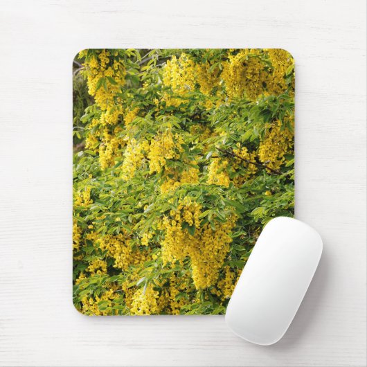 Atemberaubende Goldene Kette / Laburnum Tree Mousepad (Mit Mouse)