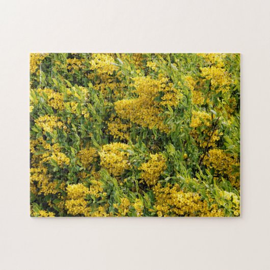 Atemberaubende Goldene Kette / Laburnum Tree Puzzle (Horizontal)