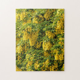 Atemberaubende Goldene Kette / Laburnum Tree Puzzle