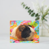 Atemberaubende Guinea Pen Postkarte (Stehend Vorderseite)