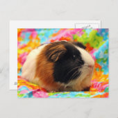 Atemberaubende Guinea Pen Postkarte (Vorne/Hinten)