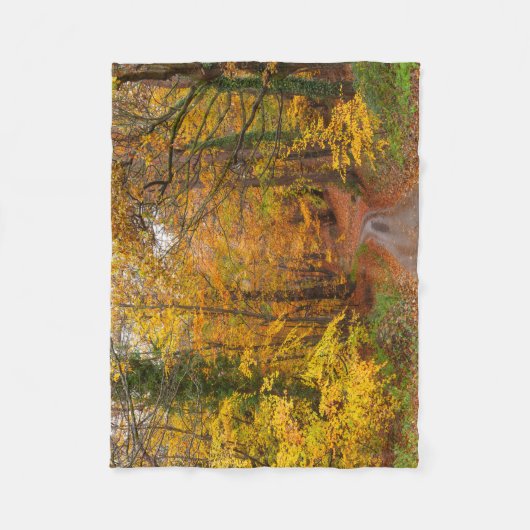 Atemberaubende Herbstfarben mit Pfad Fleecedecke (Vorderseite)