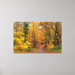 Atemberaubende Herbstwaldfarben in Englisch Leinwanddruck