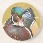 Atemberaubende Holzente im Teich Getränkeuntersetzer (Vorne)