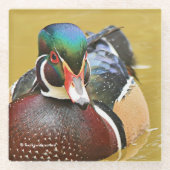 Atemberaubende Holzente im Teich Glasuntersetzer (Vorderseite)