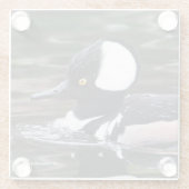 Atemberaubende Kapuzenente Glasuntersetzer (Rückseite)