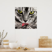 Atemberaubende Katzenhalde Poster (Küche)