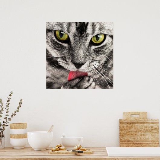 Atemberaubende Katzenhalde Poster (Küche)