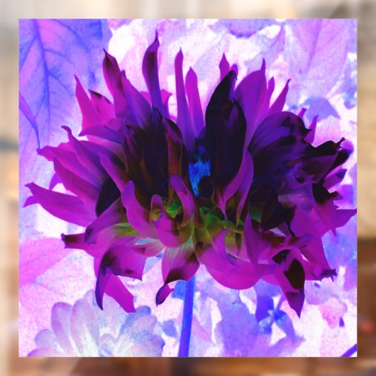 Atemberaubende Lila und schwarze Kaktus Dahlia Fensteraufkleber (Blatt 2)