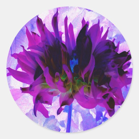 Atemberaubende Lila und schwarze Kaktus Dahlia Runder Aufkleber (Vorderseite)