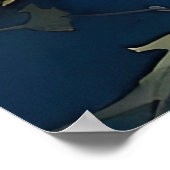 Atemberaubende Lüster in Nightsky Kunst Poster (Ecke)