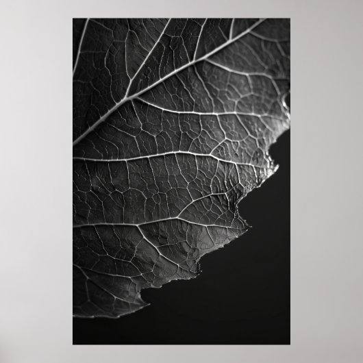Atemberaubende Makrofotografie von Nathan Wirth -  Poster (Vorne)