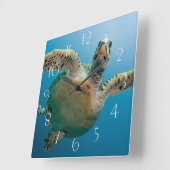 Atemberaubende Meeresschildkröte Quadratische Wanduhr (Winkel)