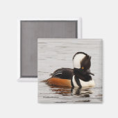 Atemberaubende Merganser-Ente am Teich Magnet (Vorderseite/Rückseite)