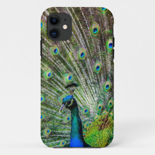 Atemberaubende Pfau- und Federn Zubehör für Fotos Case-Mate iPhone Hülle
