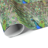 Atemberaubende Pfau- und Federn Zubehör für Fotos Geschenkpapier (Rolleneckpunkt)