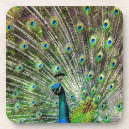 Atemberaubende Pfau- und Federn Zubehör für Fotos Getränkeuntersetzer